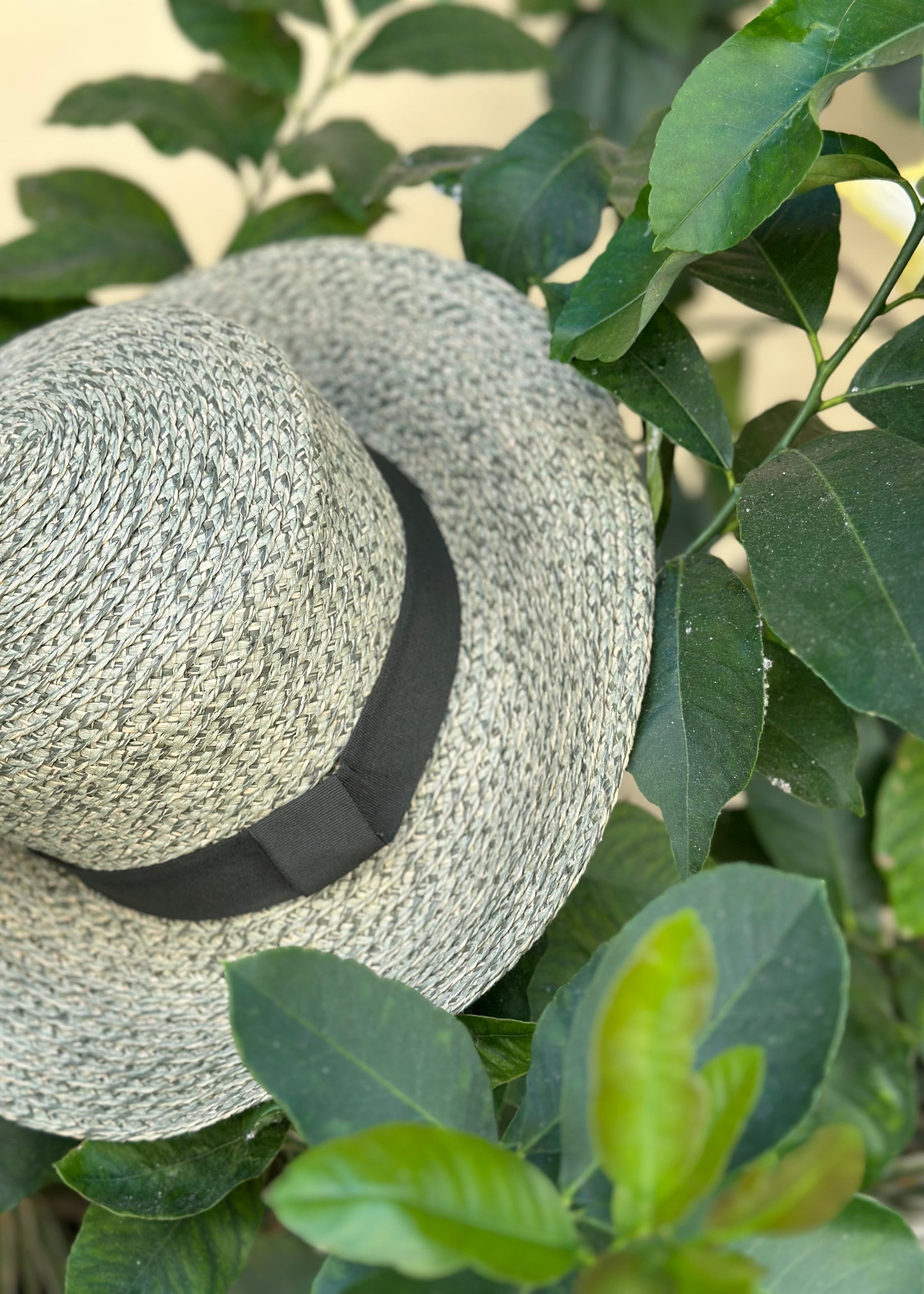 Nina Straw Hat
