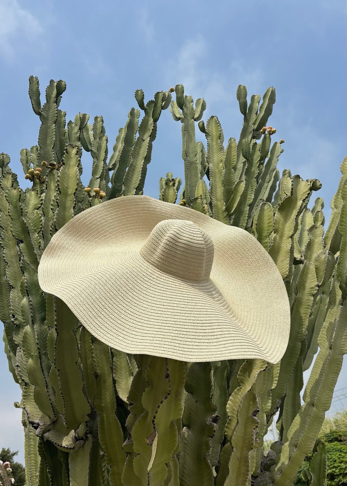 Beyonce Oversized Straw Hat