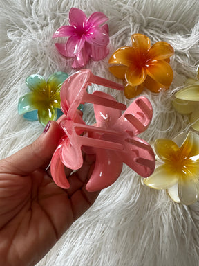 Kimmie Hair Clip