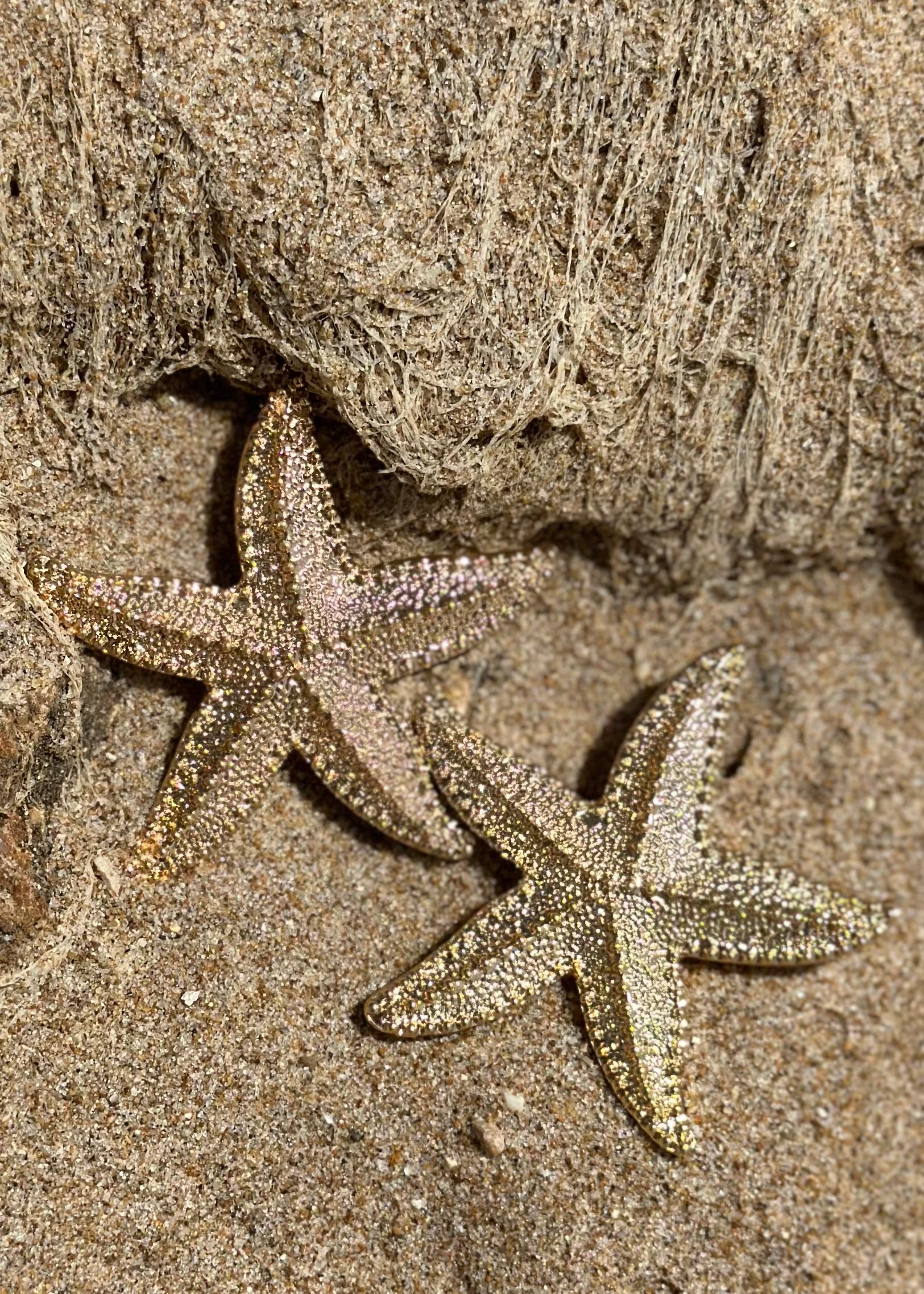 Starfish Earrings