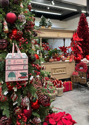 Advent Calendar - Lūlū x Exotica