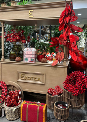 Advent Calendar - Lūlū x Exotica