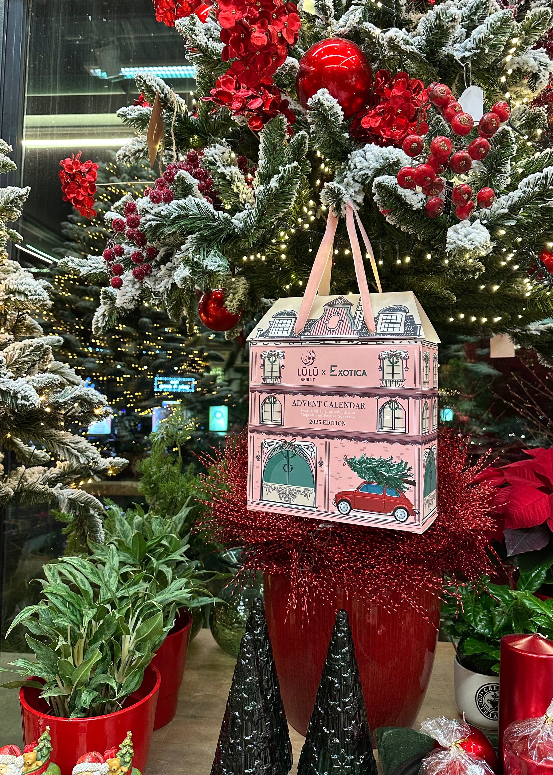 Advent Calendar - Lūlū x Exotica