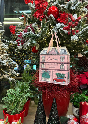 Advent Calendar - Lūlū x Exotica