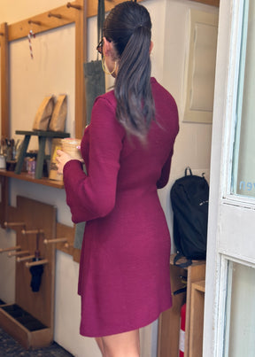 Anita Burgundy Dress