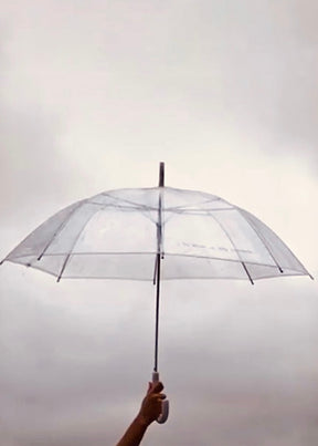 Amaya Clear Umbrella