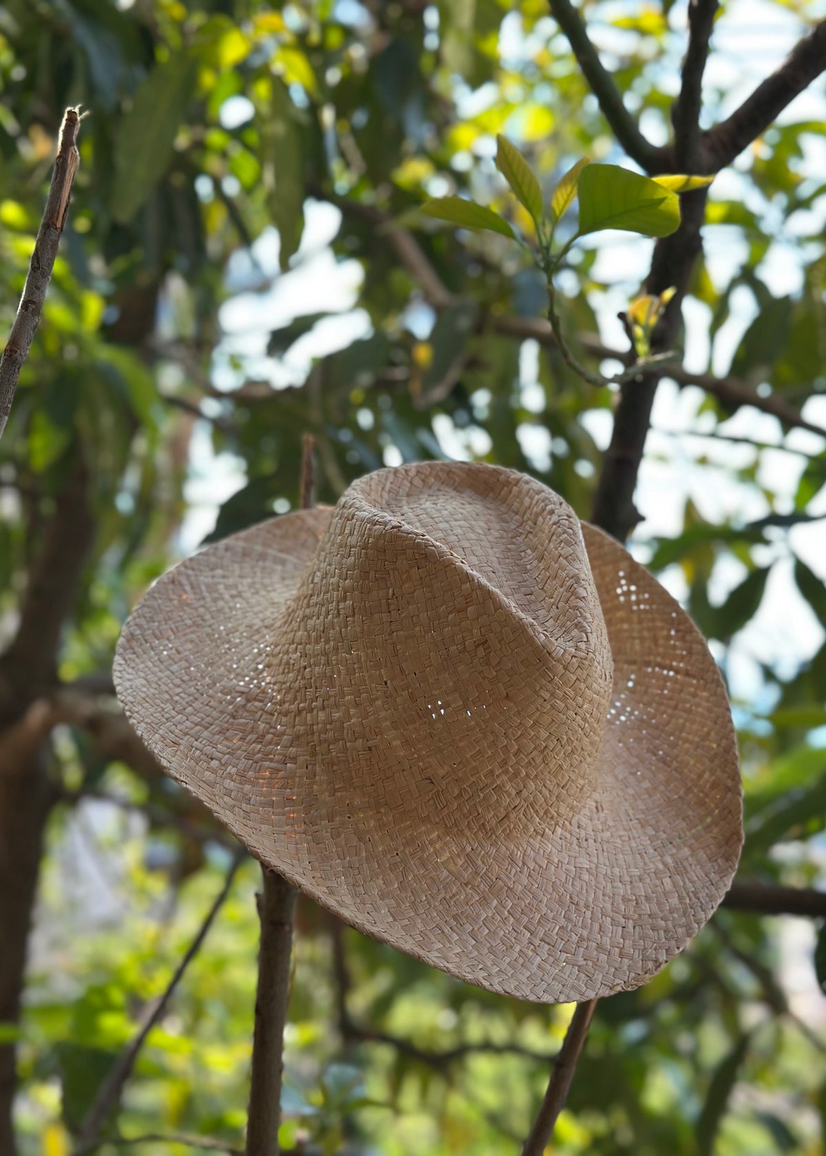 Lary Cowboy Straw Hat
