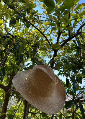 Lary Cowboy Straw Hat