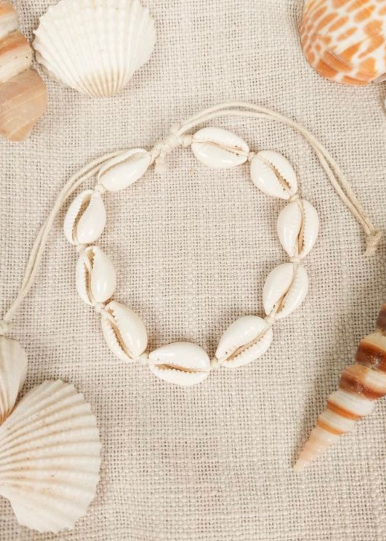 Seashell Anklet/Bracelet
