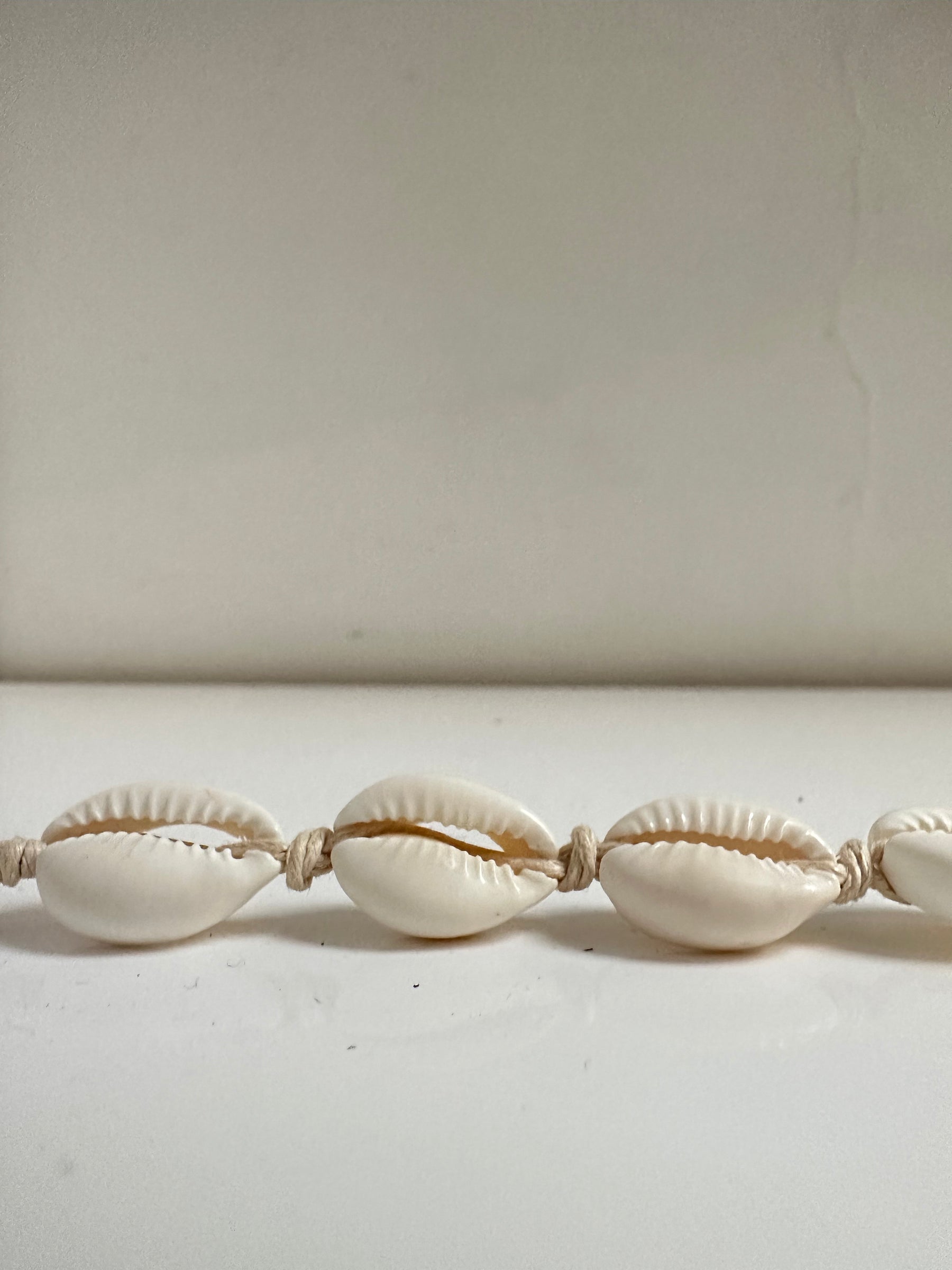 Seashell Anklet/Bracelet
