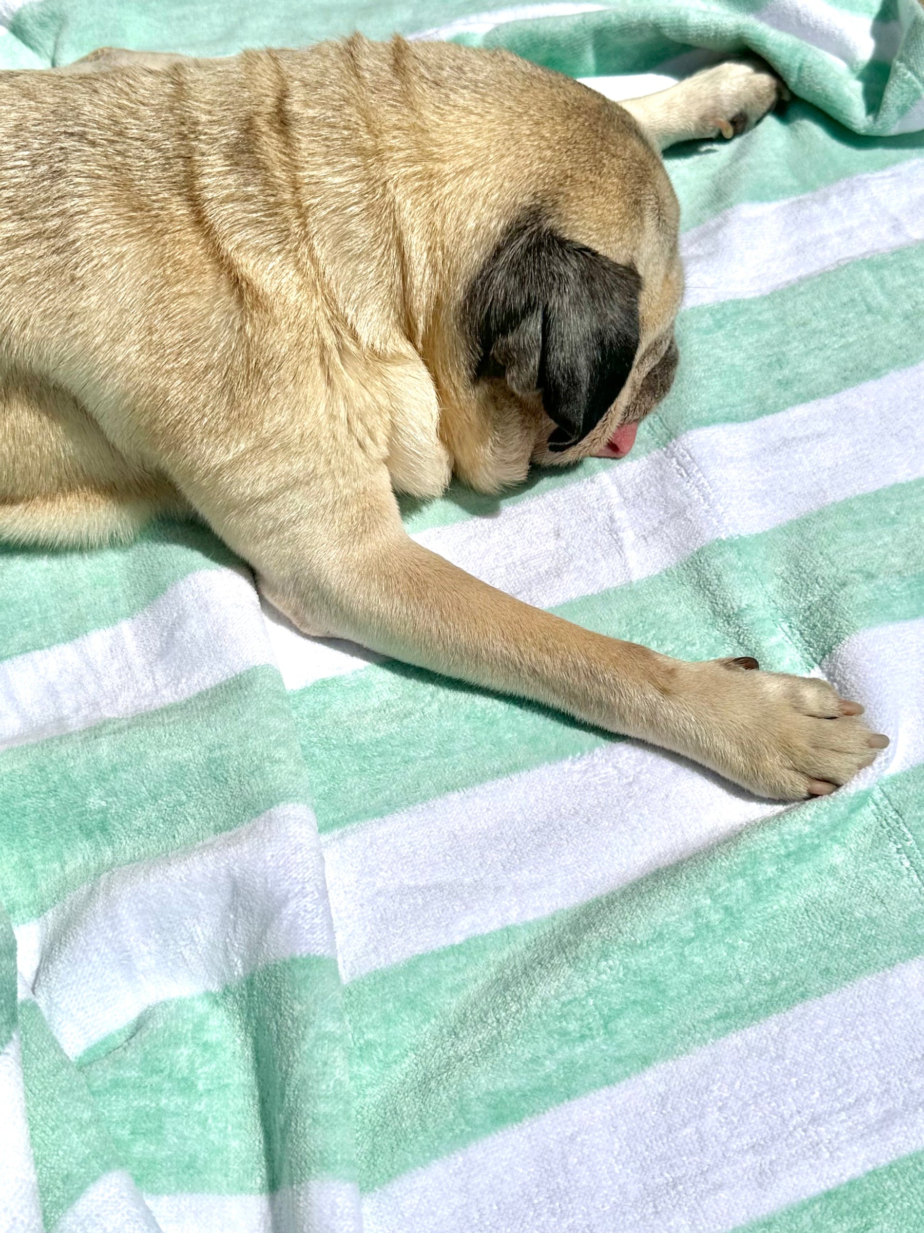 Candy Towel Mint