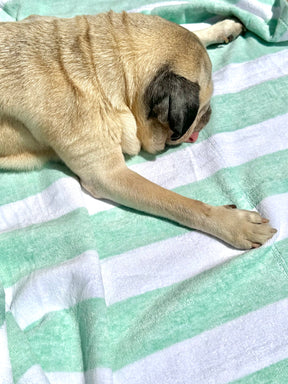 Candy Towel Mint