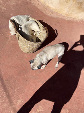 Straw Basket